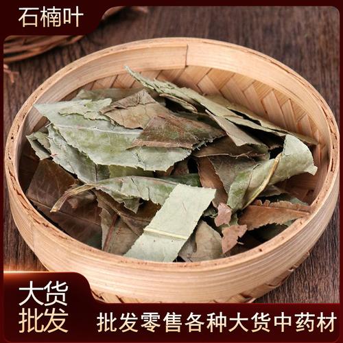 石楠叶500克 石南叶 石楠叶 石岩树叶初级农产品 零售 批发大货