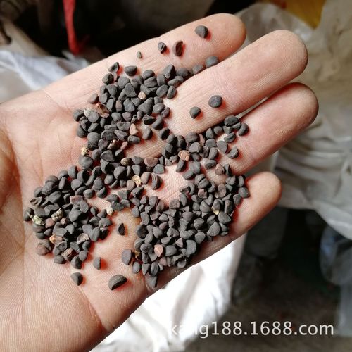 商品描述储存条件常温货号403储藏方法阴凉干燥售卖方式食用农产品原